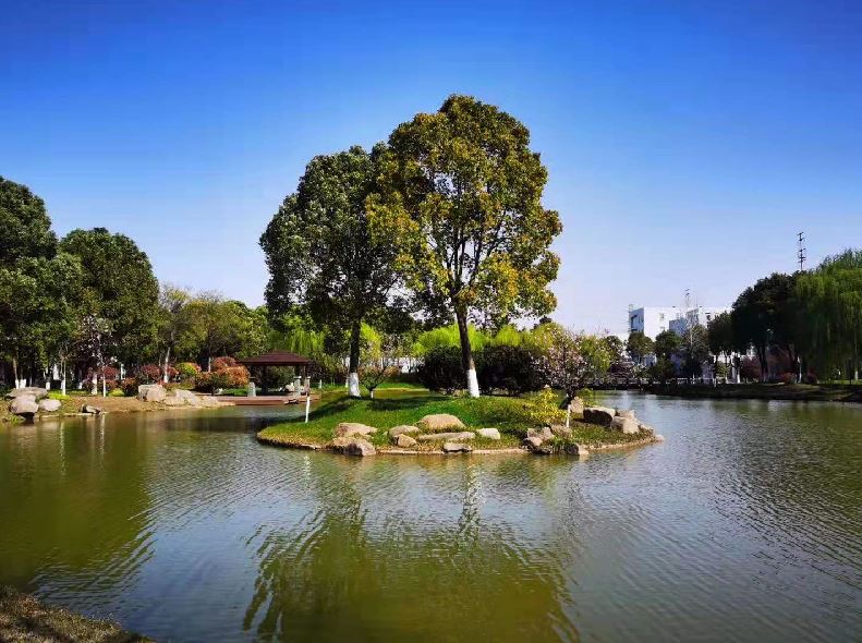 021662095466201064.jpeg 捕获.JPG