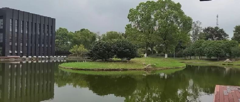 021662095507100823.jpeg 捕获1.JPG