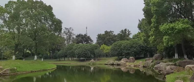 021662095602518884.jpeg 捕获6.JPG