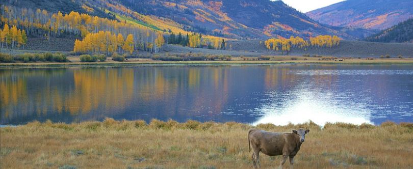 231663893207244265.jpeg 捕获.JPG